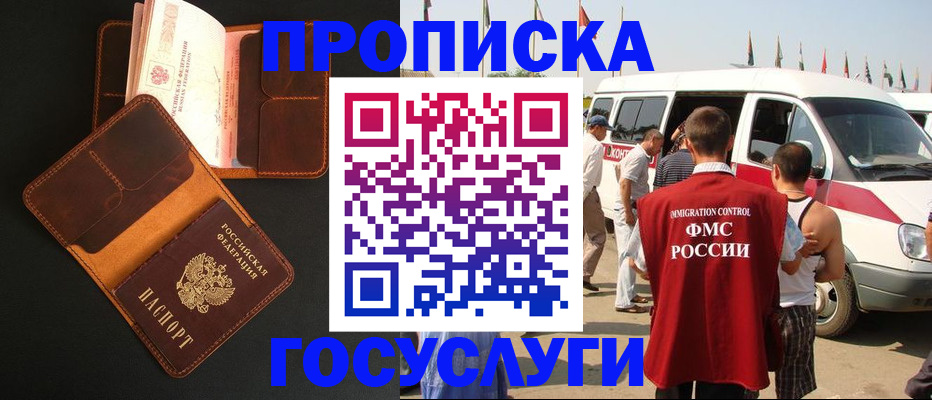 прописка законно в Новгородской области